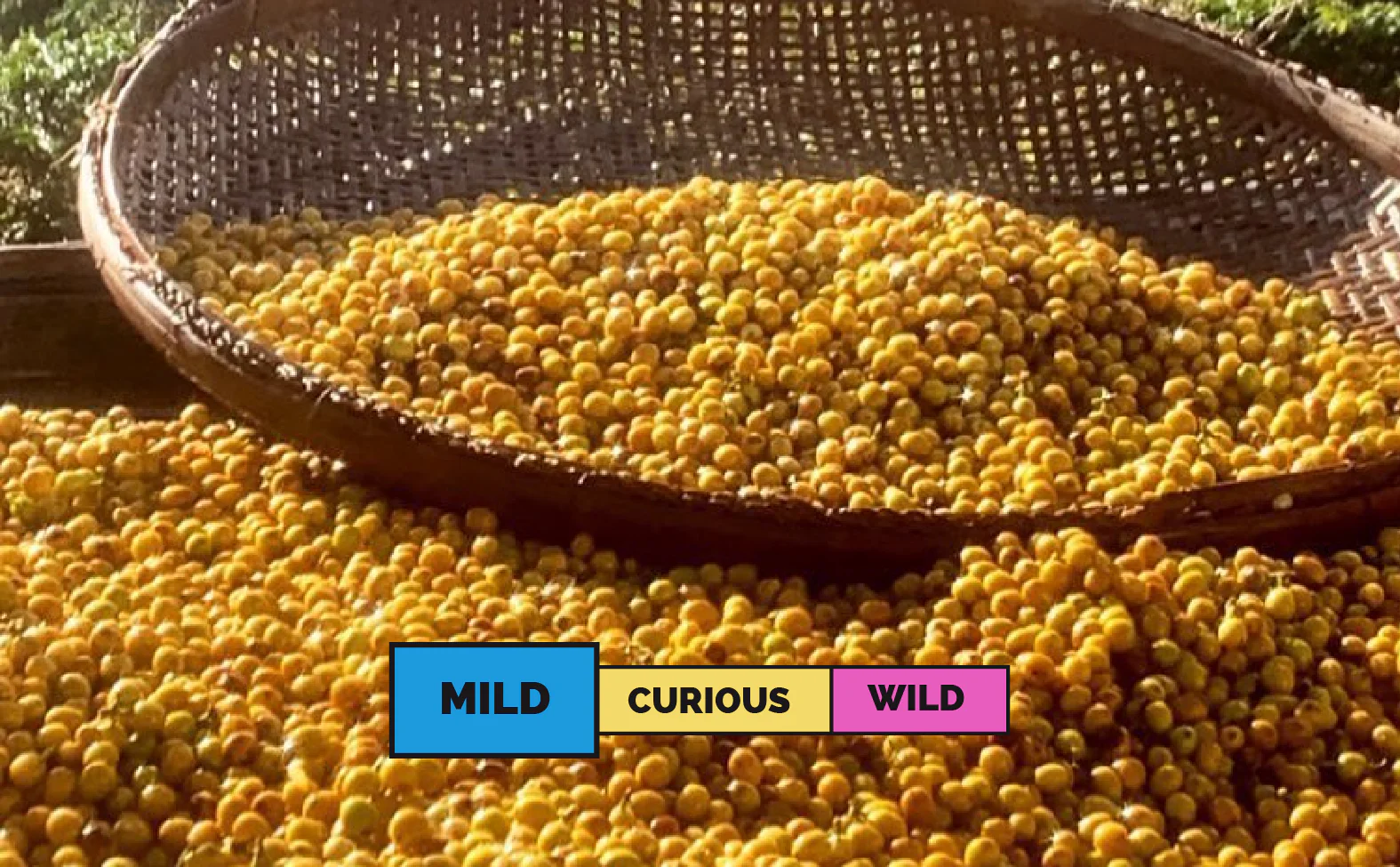 BRAZIL | Mantiqueira de Minas | Yellow Bourbon | Natural - Image 2