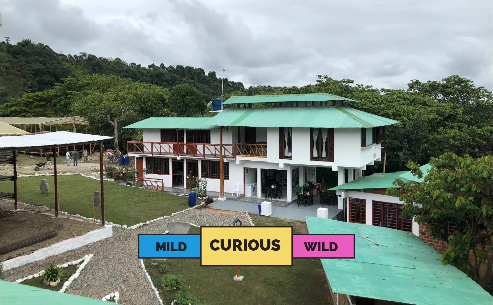COLOMBIA | La Cereza | Pink Bourbon | Anaerobic Washed - Image 2