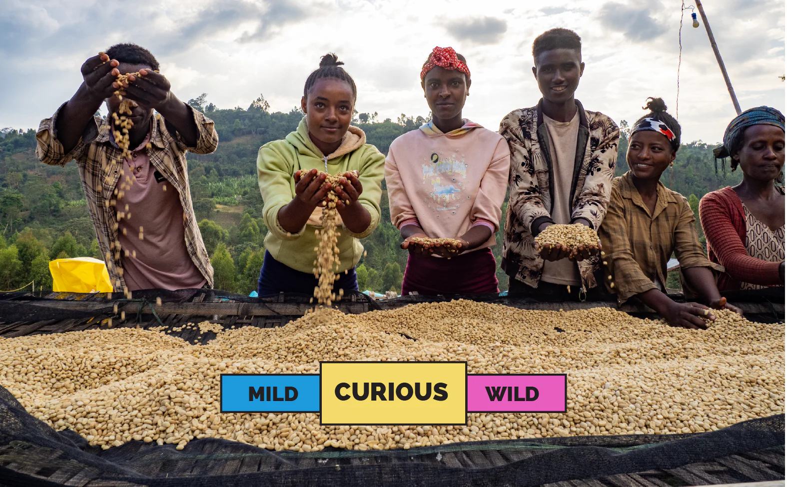 ETHIOPIA | Haro Wachu | Heirloom | Washed - Image 2