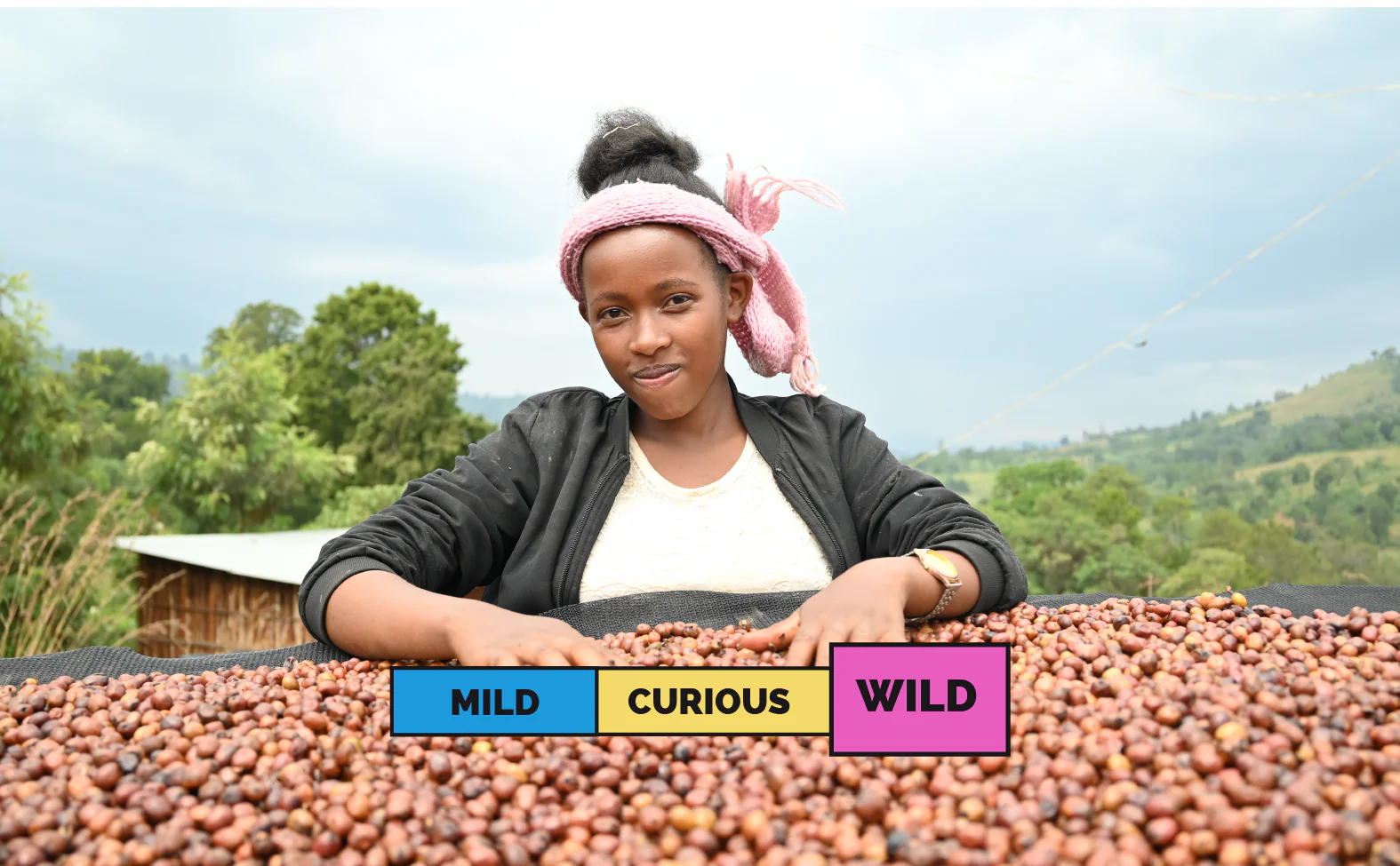 ETHIOPIA | Kore Biloya | Heirloom | Anaerobic Natural - Image 2