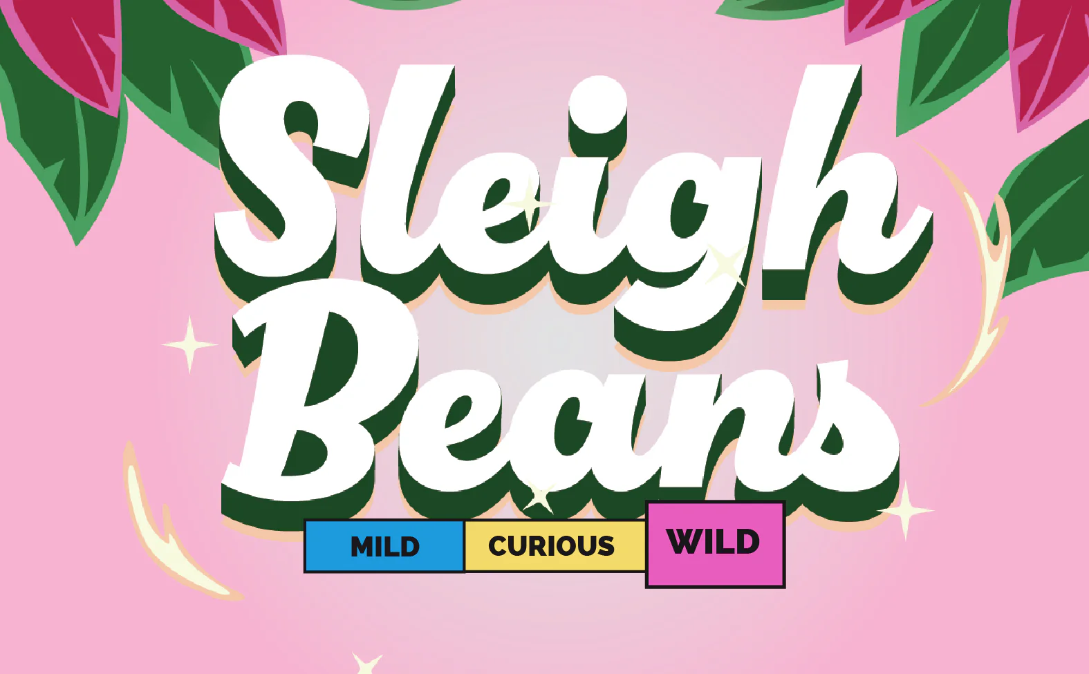 Limited Release | SLEIGH BEANS | Holiday Blend - Image 2
