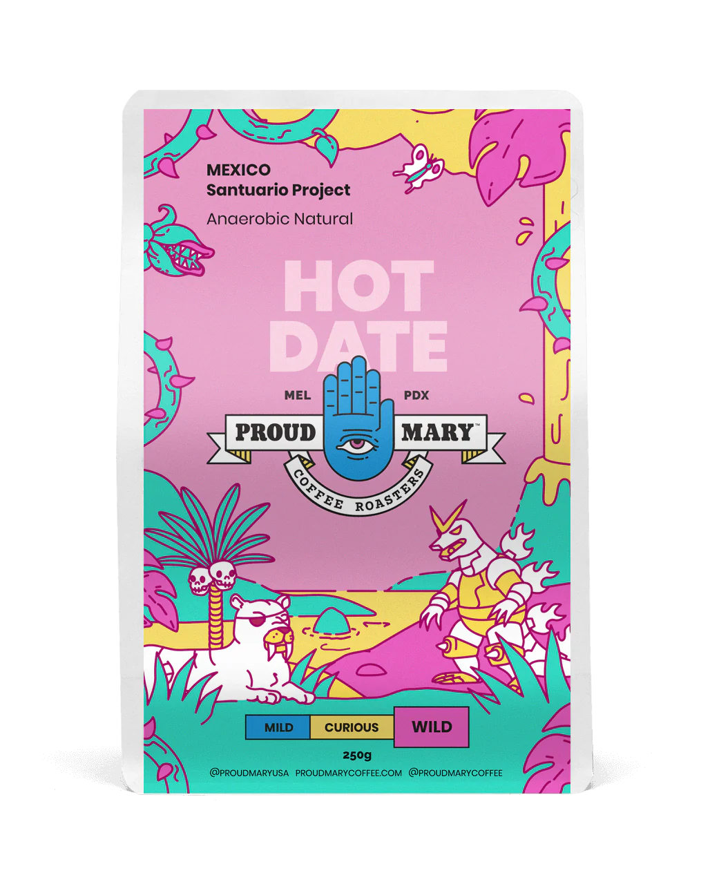MEXICO | Santuario Project | Red Bourbon | Anaerobic Natural